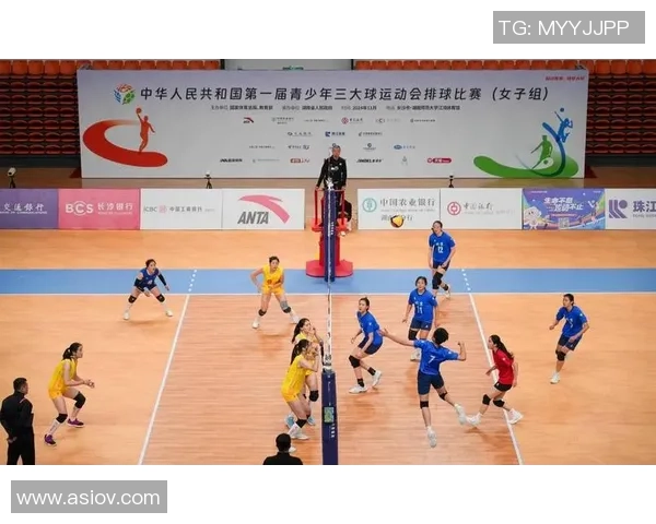 成都排球队的节奏解析与深度剖析全面解读排球运动的魅力与技巧